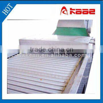 Stainless steel idler roller conveyor manufactured in Wux Kaae