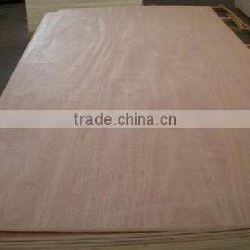 Plywood Factory of Poplar Core Commercial Plywood photo-2