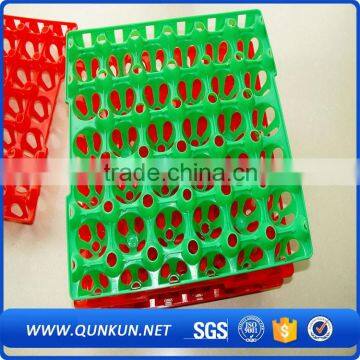 Hot selling high quality tray eggs