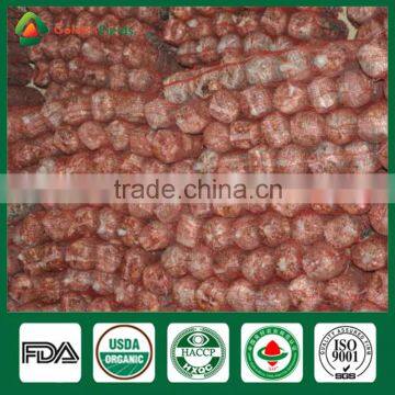 Mushroom Spawn for Sale,Shiitake Mushroom Spawn Wholesale Supplier photo-6