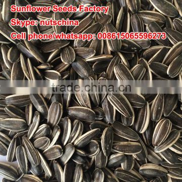 sunflower seeds