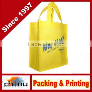 Promotion Shopping Packing Non Woven Bag (920023)