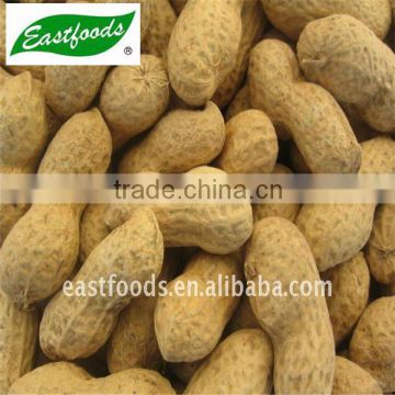 inshell peanuts from China