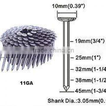galvanized ring coil nail