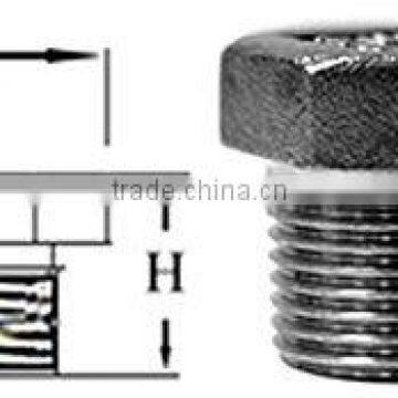 stainless steel Plugs-Hex Head