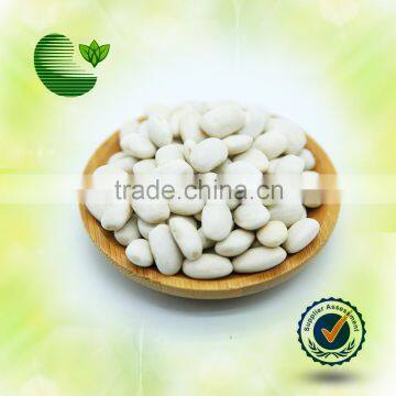Wholesalse Medium White Kidney Beans, New Crop