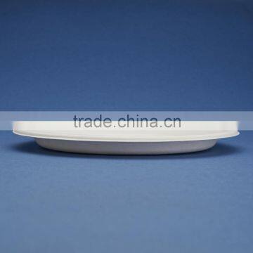 PL-95 Sugercane Fiber 9.5 Inches Plates photo-2