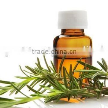 100%Pure Natural Rosemary Oil For Export Only