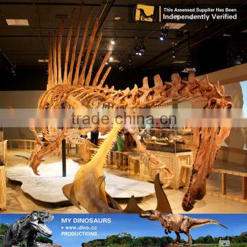 MY Dino-C048 Playground Dinosaur Skeleton of Spinosaurus photo-4