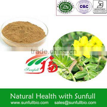 China Tribulus terrestris extract 90% saponins