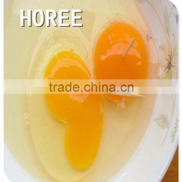 All kinds of High quality Bamboo Toothpciks In different package