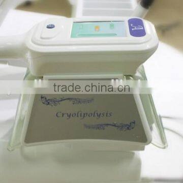 Noise Suppressor Low Noises Technology Freezing Best Fat Slimming Equipment and Loss Weight Fat Freezing Machine