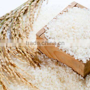 Vietnamese Long Grain White Rice/Japonica Rice/Jasmin Rice(Viber/Whatsaap:+84965152844)