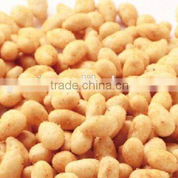 Roasted Sunflower Kernel Snacks