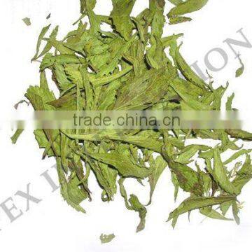 Stevia Rebaudiana / Stevia Leaf / Stevia Leaf T Cut photo-2