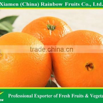 Jiangxi Fresh Orange