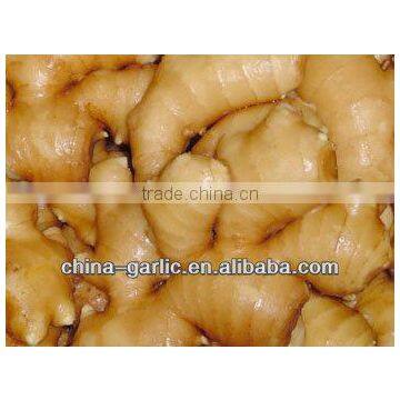 China/Chinese Fresh Ginger Needed
