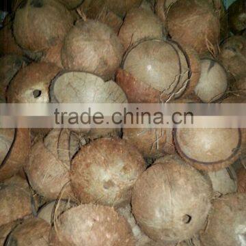 COCONUT SHELL