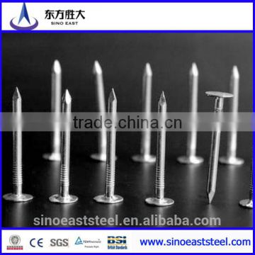 Hot Promotion!! steel nails nail polish suppliers china