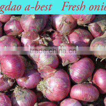 Fres Onion