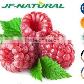 natural raspberry powder manufacture ISO, GMP, HACCP, KOSHER, HALAL certificated