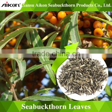 Plant extracts China seabuckthorn leaves tea