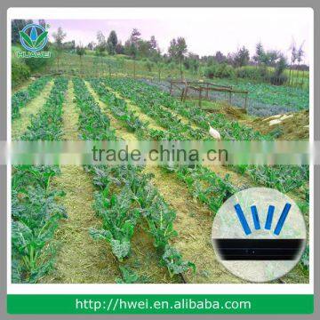 Drip Irrigation System Using Drip Tape Irrigation Manufacturer