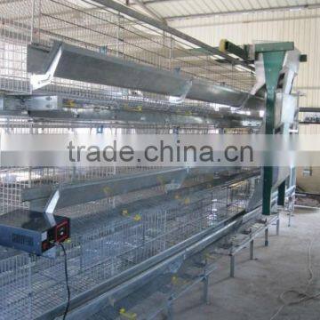 Best Selling Quail Cage For Sale in Quail Farm