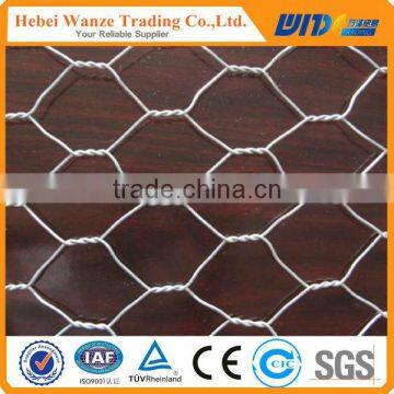 High quality hot dipped galvanized hexagonal wire netting ISO9001