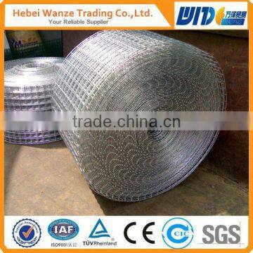 Concrete Reinforcement Steel 10x10 Welded Wire Mesh/ Welded Wire Mesh Panel/ Welded Wire Mesh