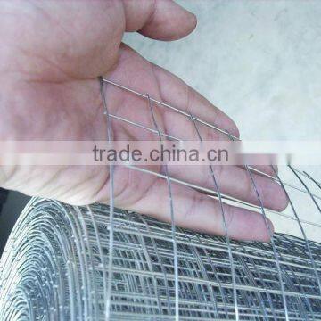 elec galvanized welded wire netting