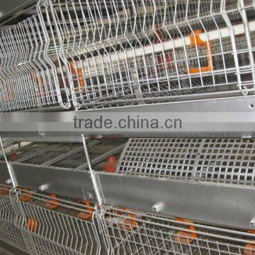 Commercial Cheap Automatic Layer Poultry Farm Equipment for Broilers photo-3