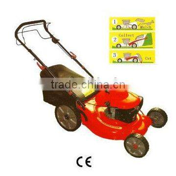 Lawn mower RWGGT-30014