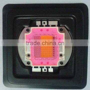 Factory Price Best Selling Products 100w High Power COB LED 380nm - 850nm Full Spectrum Grow Light Chips photo-5