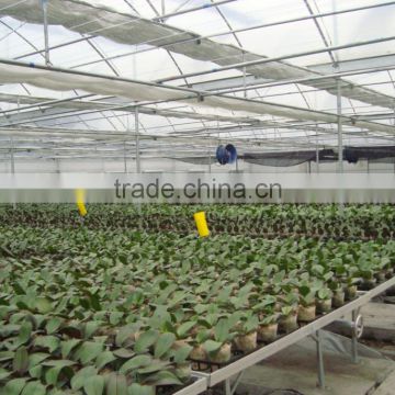 Agricultural Greenhouse nursery Seed bed