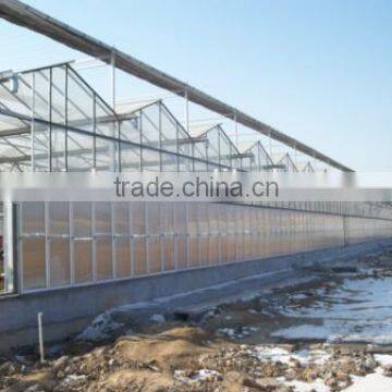 Foreign Customber Design Commercial Greenhouse for Sale