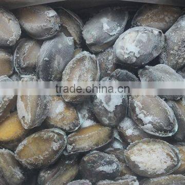 Factory price 100% natural frozen fresh abalone