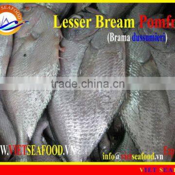 FROZEN LESSER BREAM POMFRET W/R
