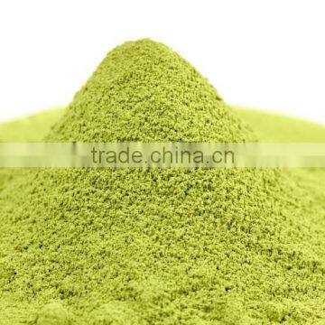 Manufacturer Supply Best Matcha Extract Powder