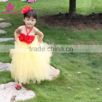 Pure White Tulle Girl Crochet Tutu Dress Beautiful Puffy Baby Dance Dress photo-5