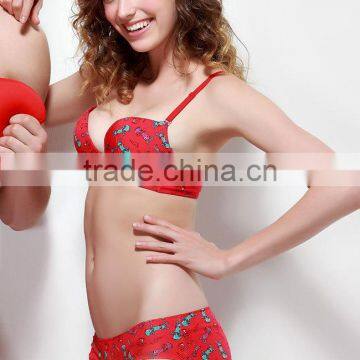 2014 New Arrival Reliable China Manufacturer Bra Fashion