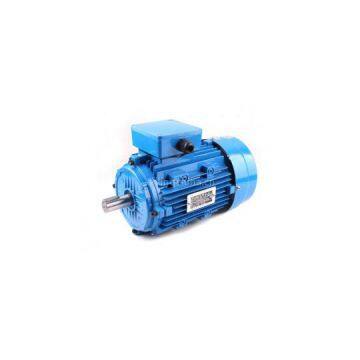 Y2 series three-phase asynchronous motor