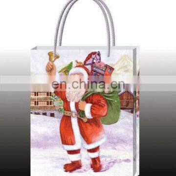 Customized Eco-friendly Stylish PP Christmas Gift Bag/Shopping Bag