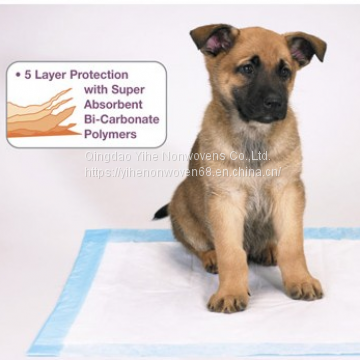 Nonwovens for Pet Pads