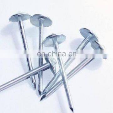 Common Wire Umbrella Head Roofing Coil Nails