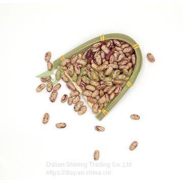 Chinese Long Shape Light Speckled Kidney Beans for India Yemen Pakistan photo-5