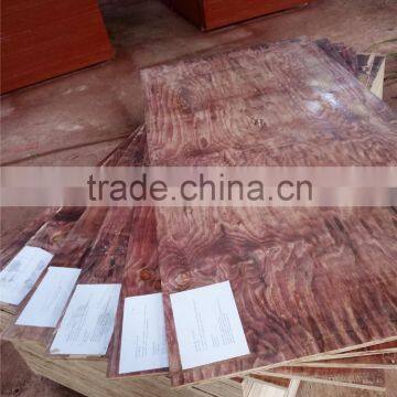 Film Faced Shuttering Plywood,Formwork Plywood,Poplar Core