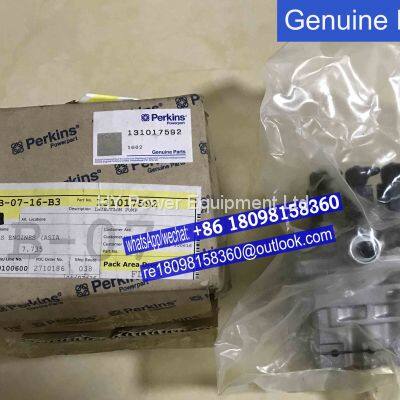 131017592 131017961 fuel injection for Perkins engine 403 series Genuine engine parts/3 cylinders engine