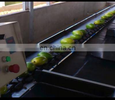 Fruit and Vegetable Cleaning, Waxing, Drying and Grading Production Line