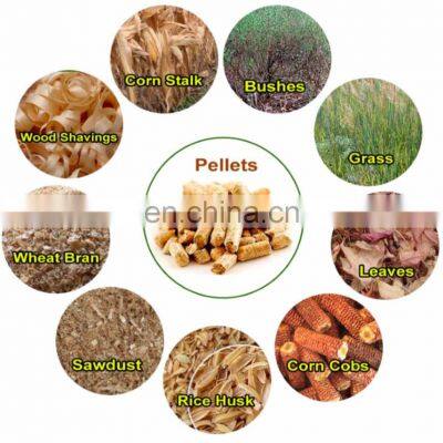 Coco Peat Biomass Sawdust Pellet Mill photo-4